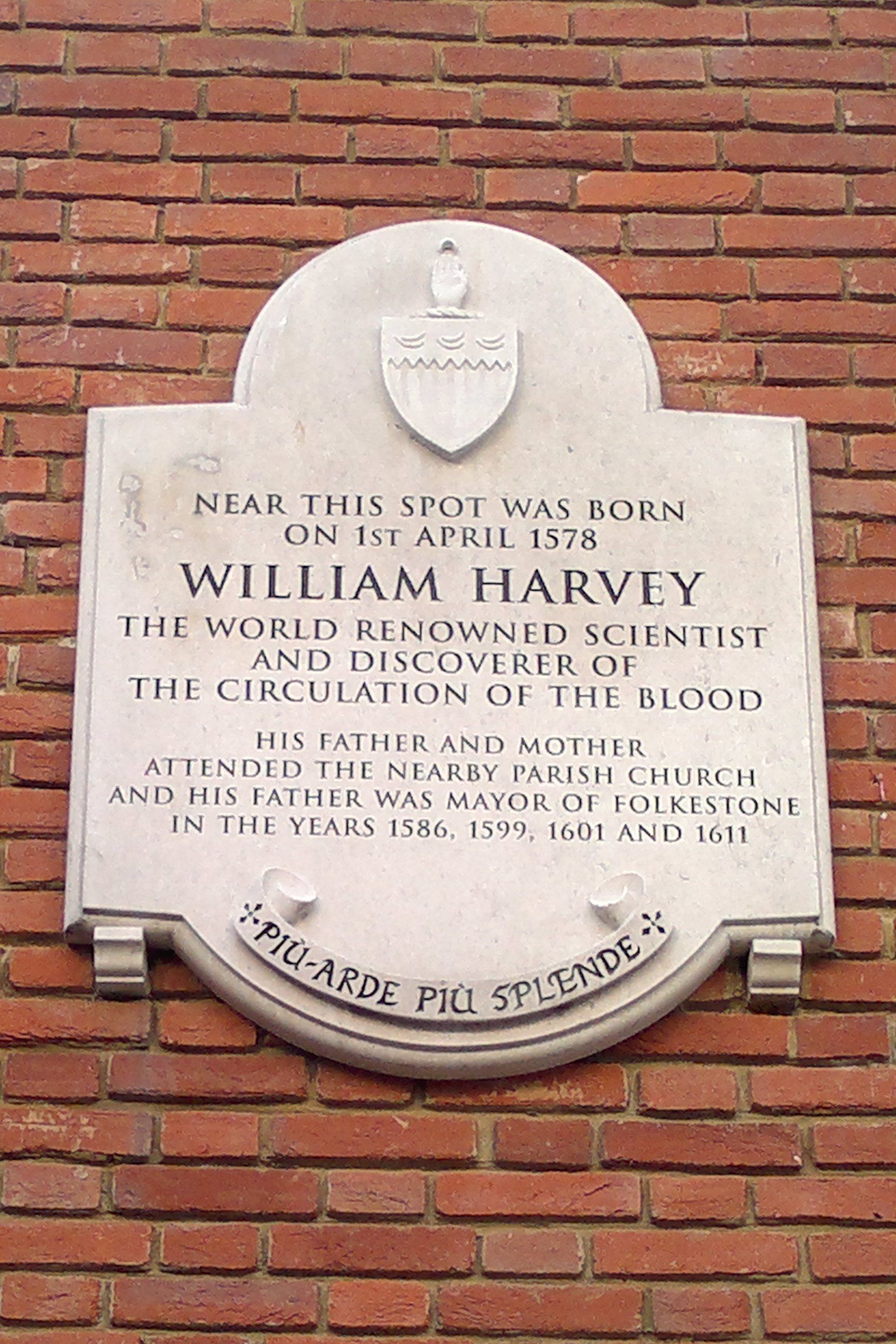 William Harvey's birthplace, Folkestone by Giuseppe Serena - 02.jpg